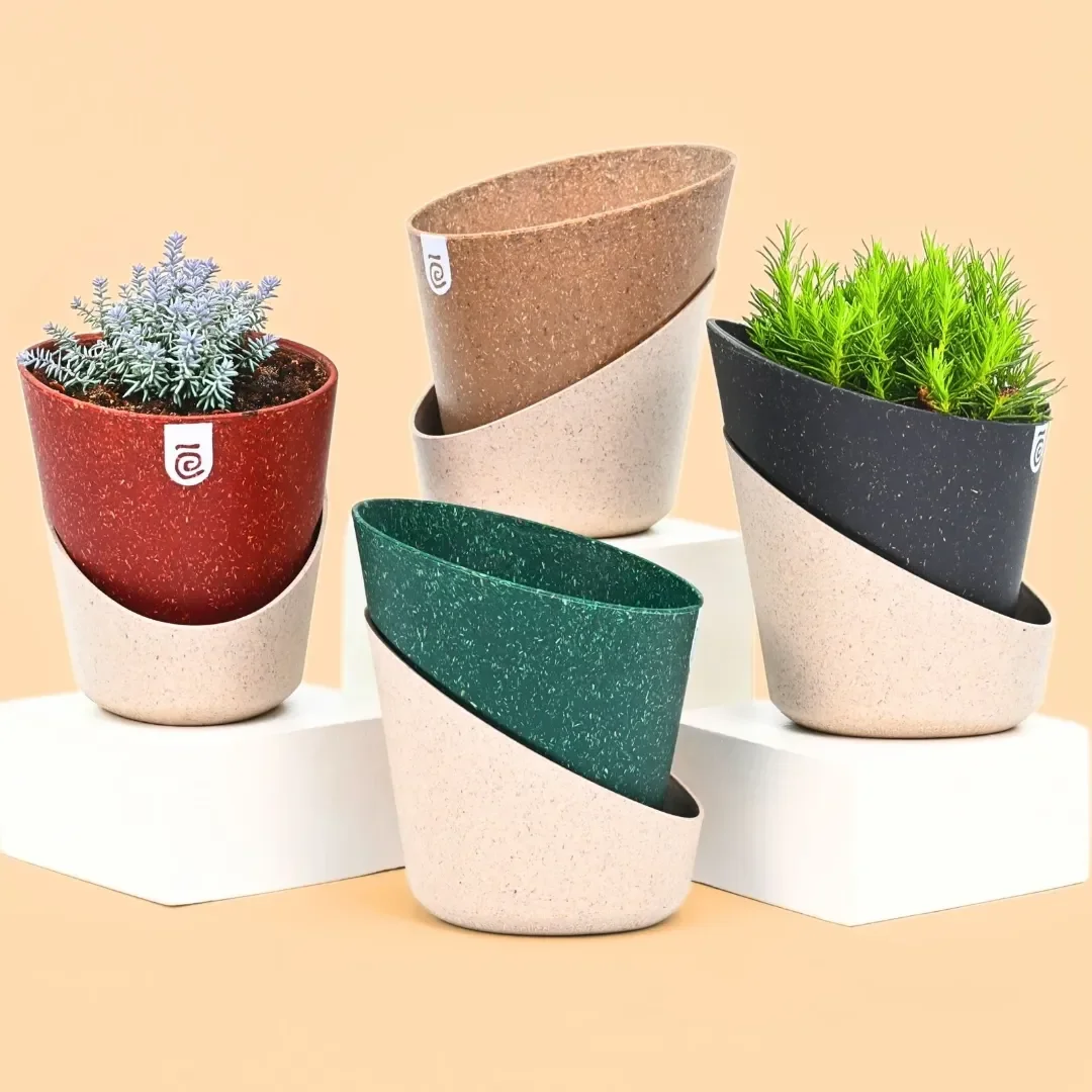 Decor Collection